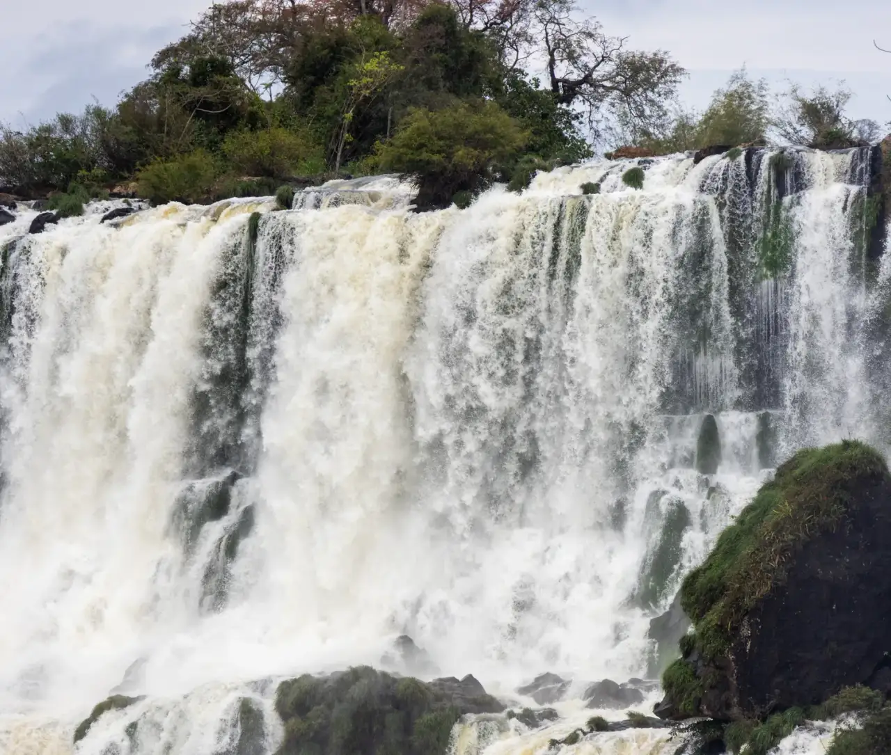 Iguazú Falls seen up close, framed by rainforest