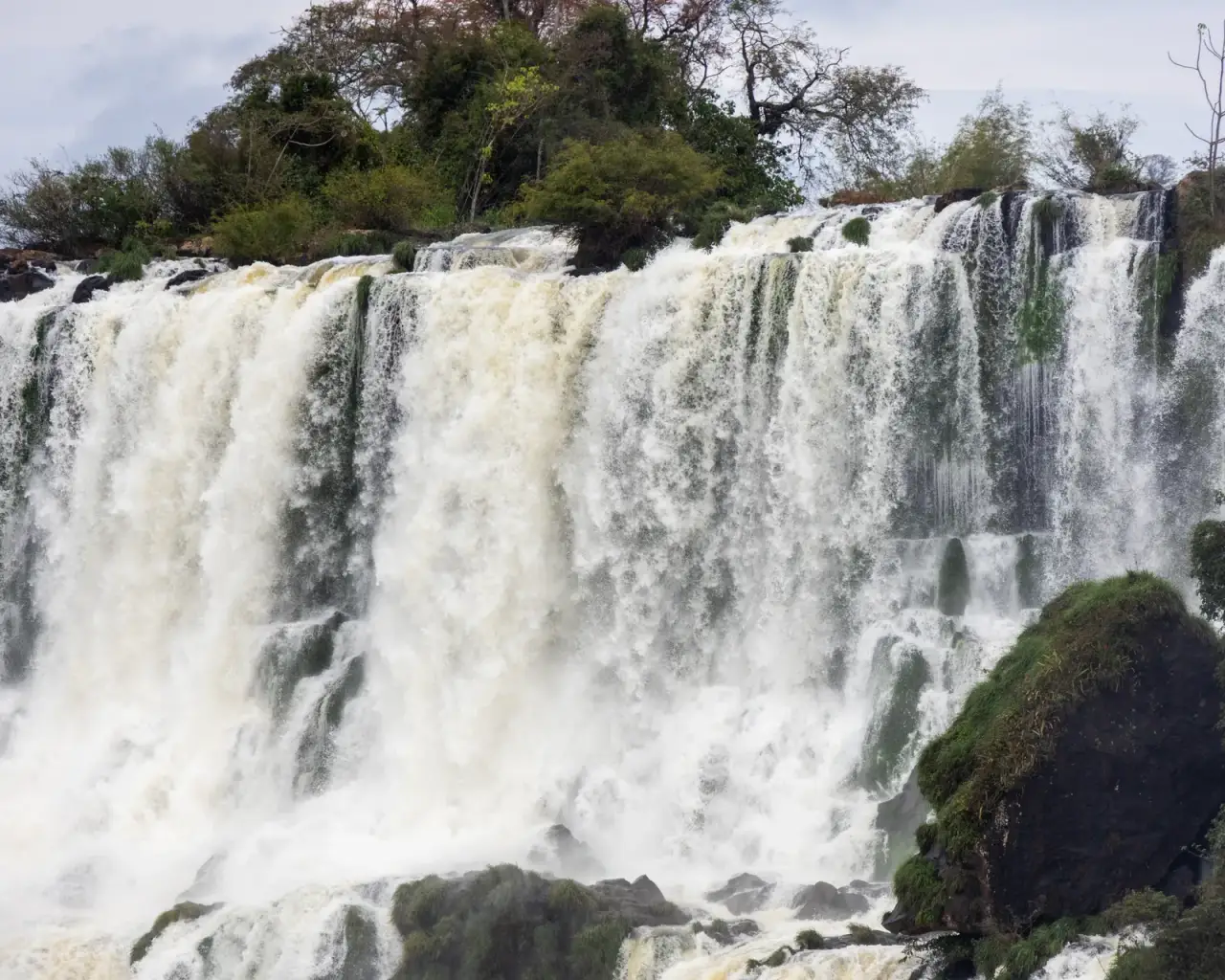 Quedas do Iguaçu vistas de perto, cercadas pela floresta