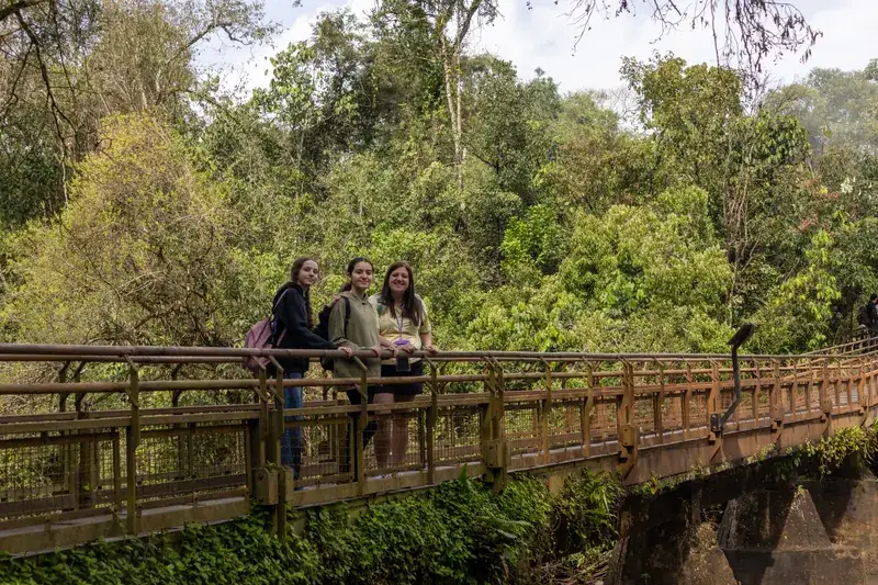 Visitors walk along a trail surrounded by vegetation in Iguazú National Park